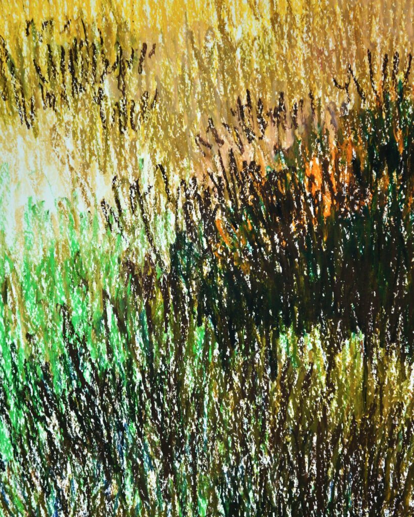DSC04038
