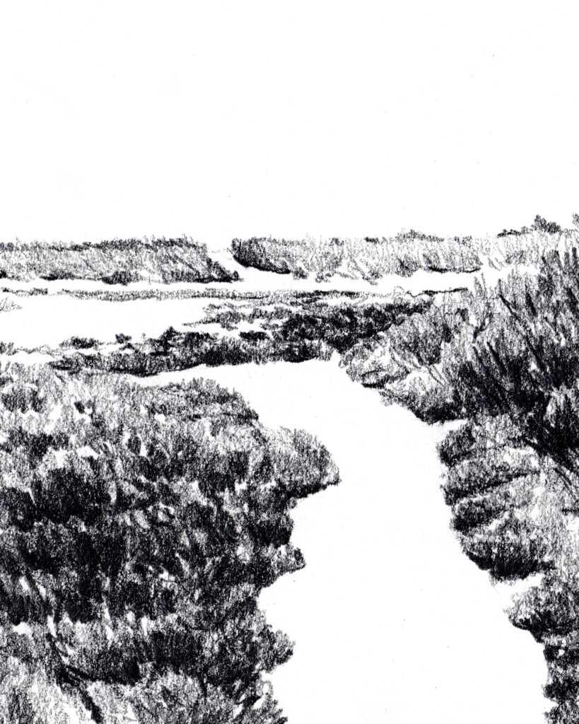 le mimbeau etude 01 detail