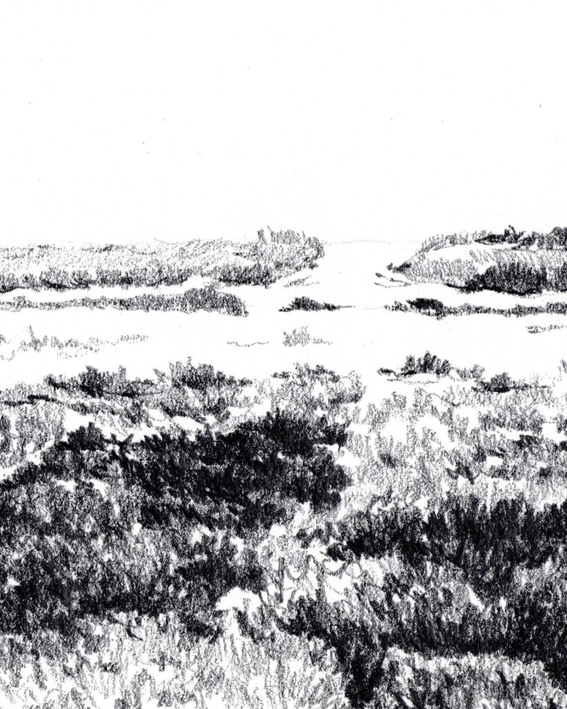 le mimbeau etude 02 detail