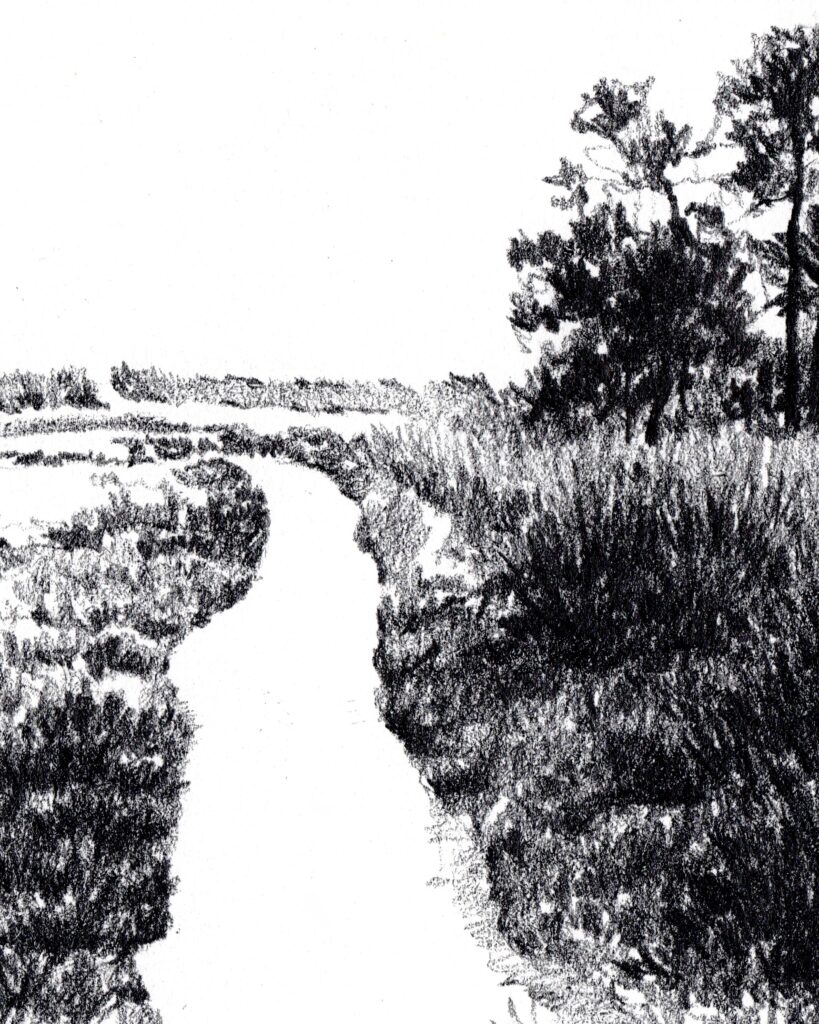 le mimbeau etude 03 detail