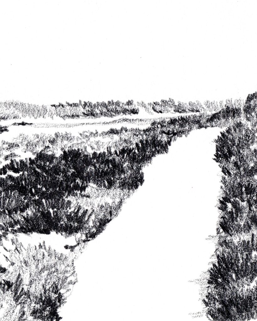 le mimbeau etude 04 detail