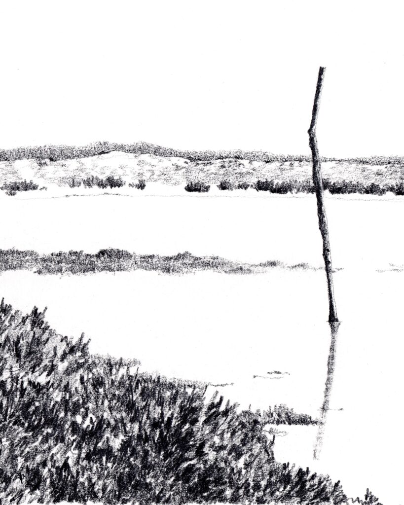 le mimbeau etude 05 detail