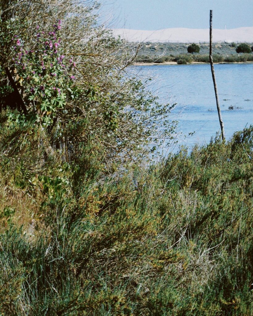 le mimbeau etude 05 vue 01