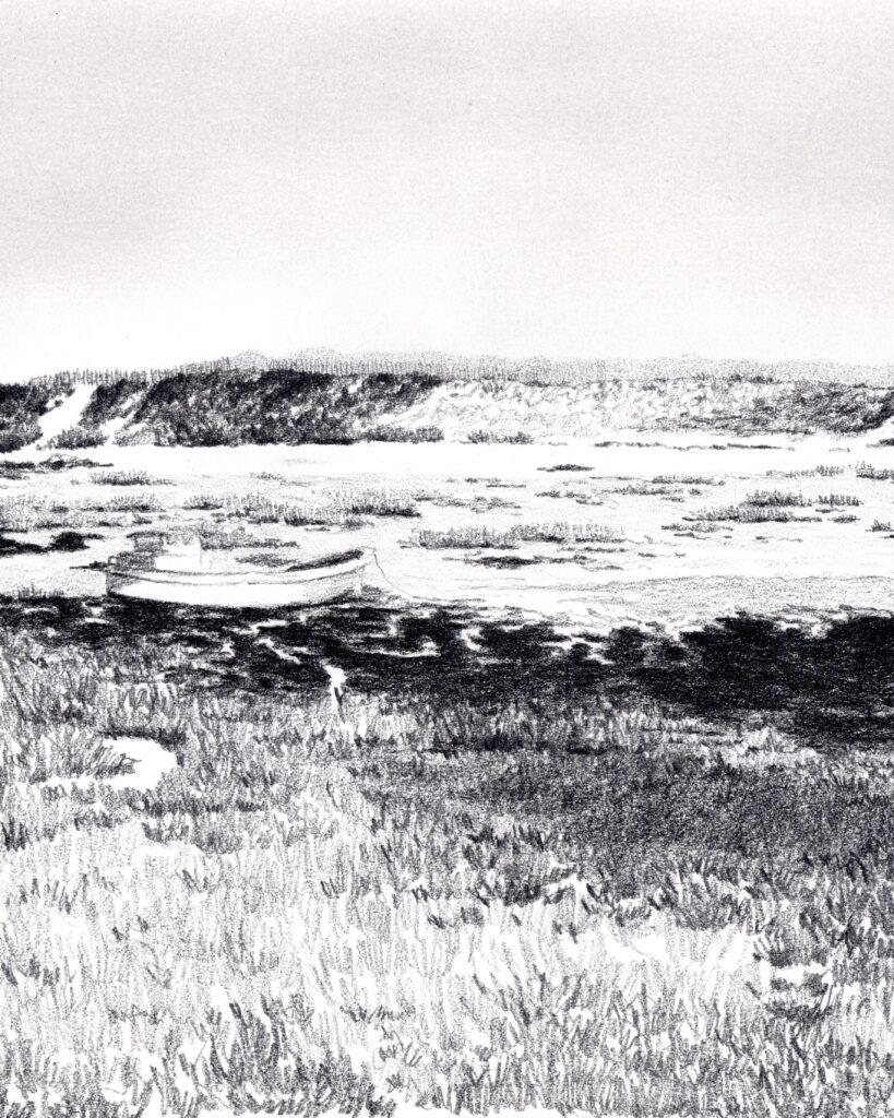 le mimbeau paysage 01 detail
