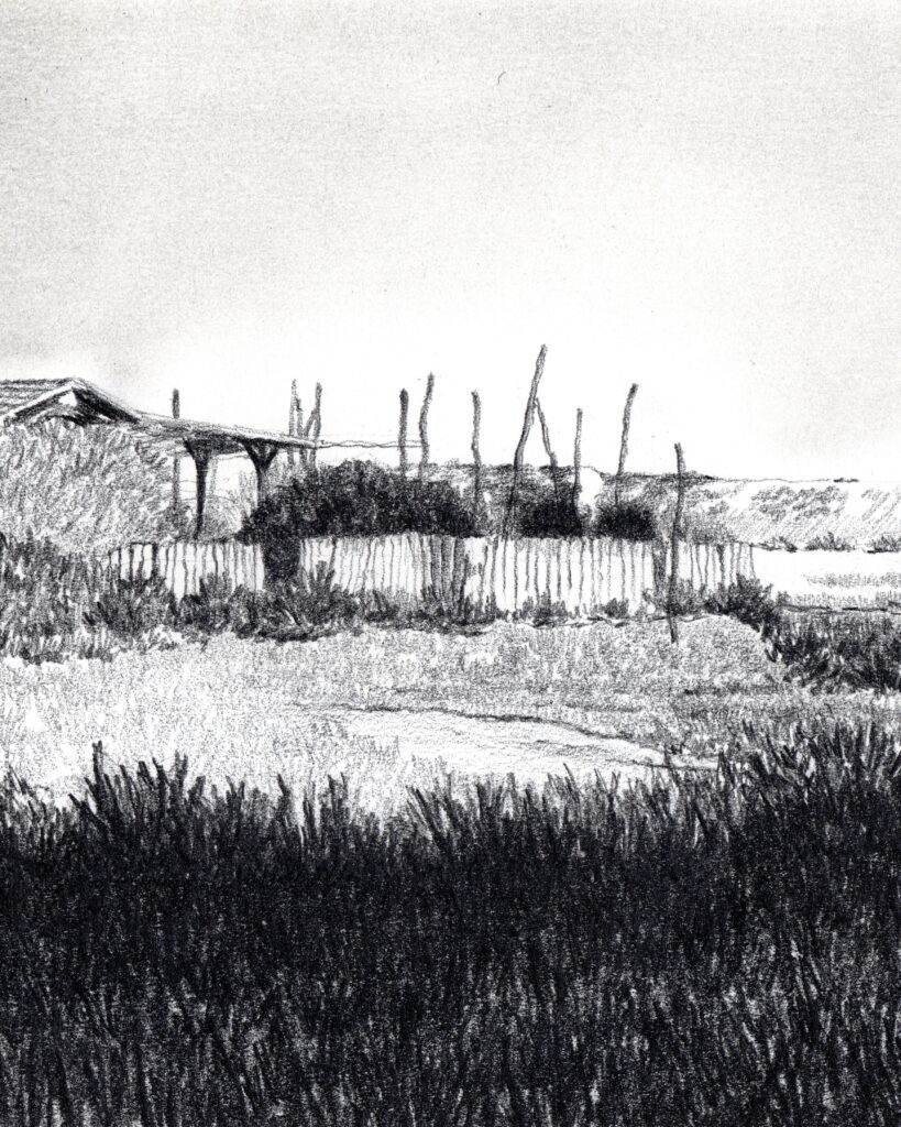 le mimbeau paysage 02 detail