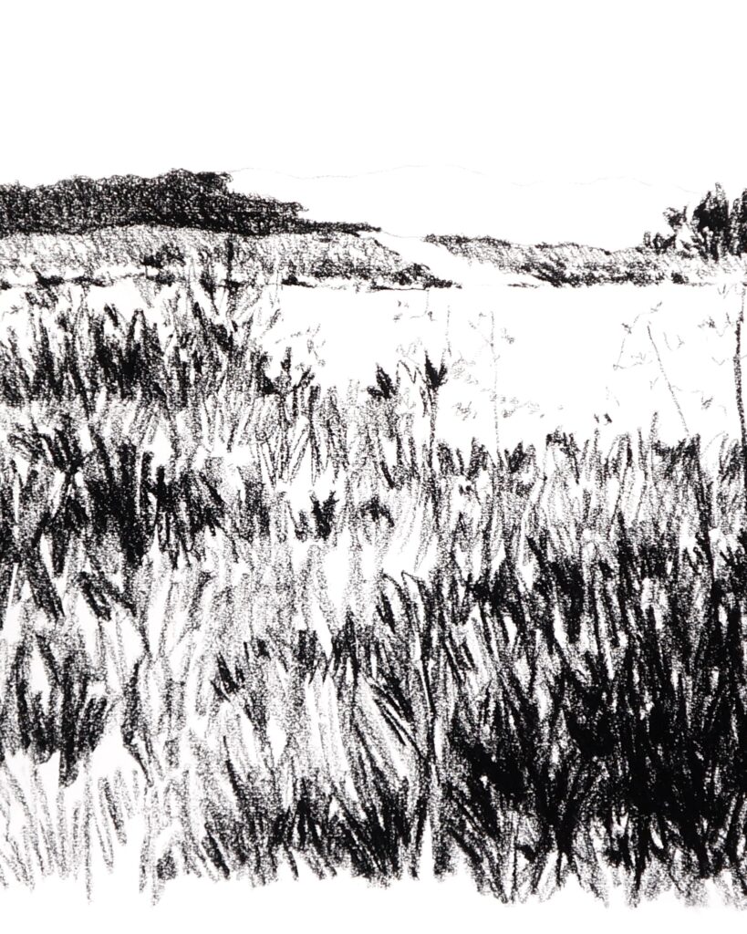 le mimbeau paysage 05 detail