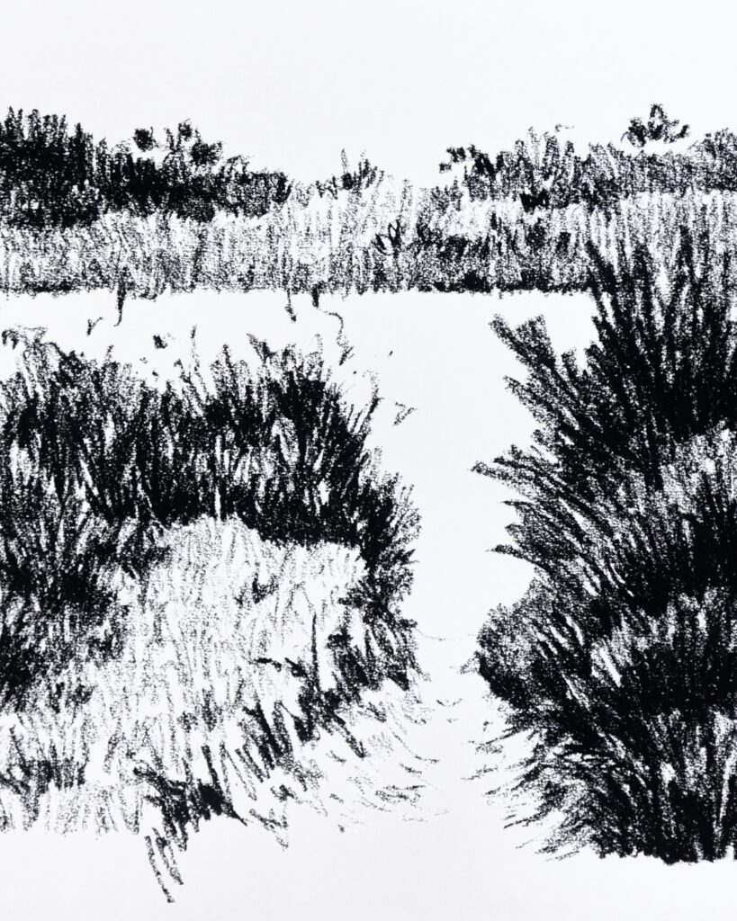 le mimbeau paysage 06 detail