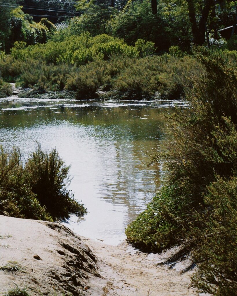 le mimbeau paysage 06 vue