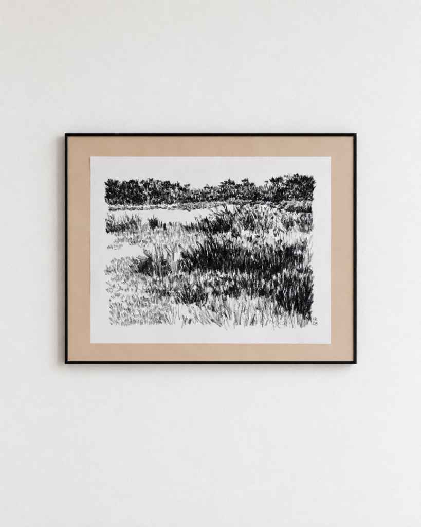 le mimbeau paysage 07