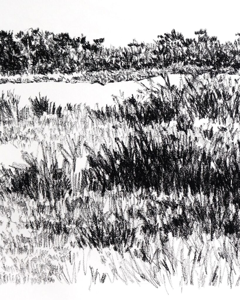 le mimbeau paysage 07 detail