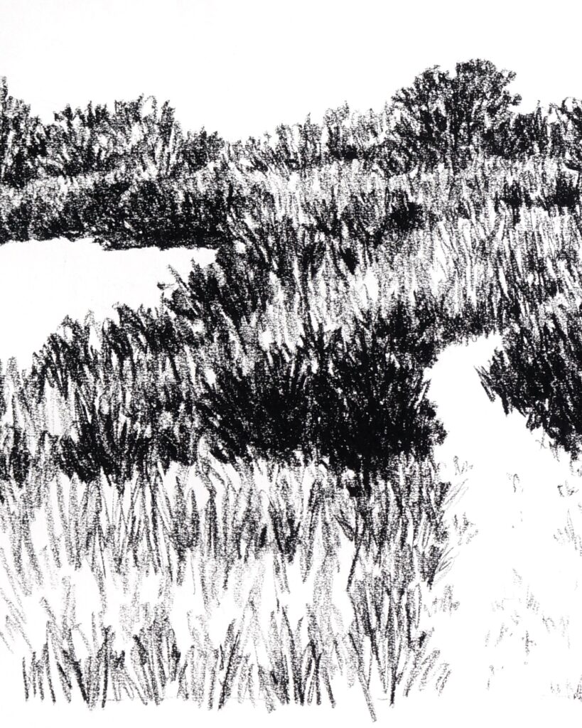 le mimbeau paysage 08 detail