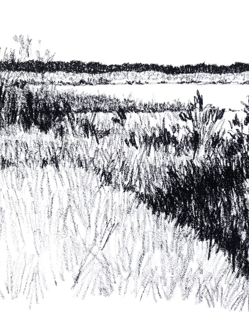 le mimbeau paysage 09 detail