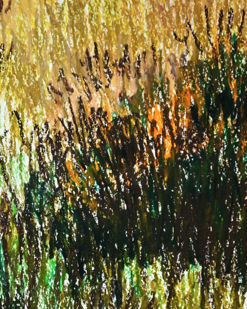 le jardin portrait 06 zoom 02
